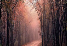 意媒：尤文已接触奥斯梅恩经纪人，但获得欧冠资格是交易前提.