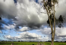 J-马丁内斯：米兰的快速反击非常出色，我非常渴望晋级意杯决赛.