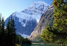 被误读？名记为海港鸣不平：近8年亚冠贡献比泰山广州队申花都高.