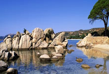 爱游戏：执教就像拼图——专访中国游泳队教练迈克尔·波尔.